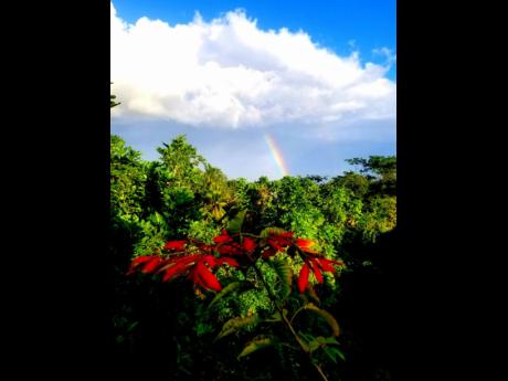 
Mother Nature’s blessings ... poinsettia, skies, and the rainbow.