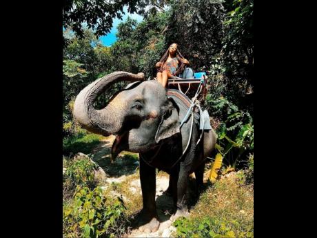 As an elephant lover, this was the ride of a lifetime for Williams in Phuket, Thailand.