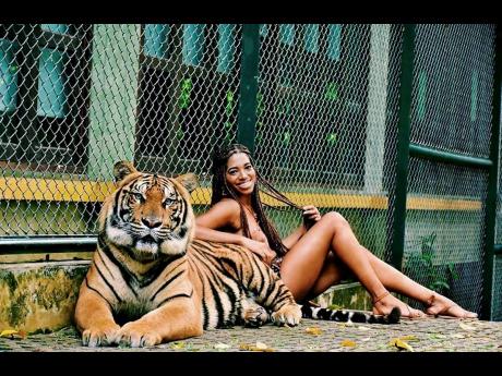 She’s not scared of lions, tigers or bears. Here is a beautiful look while touring the Tiger Kingdom in Phuket, Thailand.

