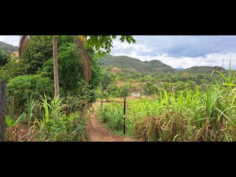A view of a section of the Pleasant Hill community in Lluidas Vale, St Catherine.