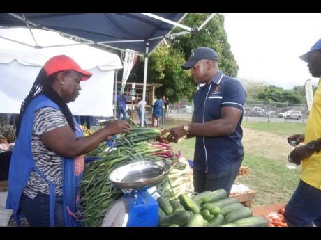 Pearnel Charles Jr (right), minister of agriculture and fisheries, purchases scallion from Margaret Edwards, during the launch of Farmer’s Month at the Ministry of Agriculture & Fisheries’ playing field at Hope Gardens yesterday.