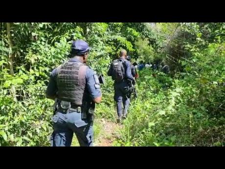 Police and other members of a search party combing the bushes near Naseberry Grove in Kitson Town, St Catherine, in search of Georgia Blunt and her boyfriend, Ruel Fuller. The couple disappeared on Saturday after going to tend to their cows. Their bodies w
