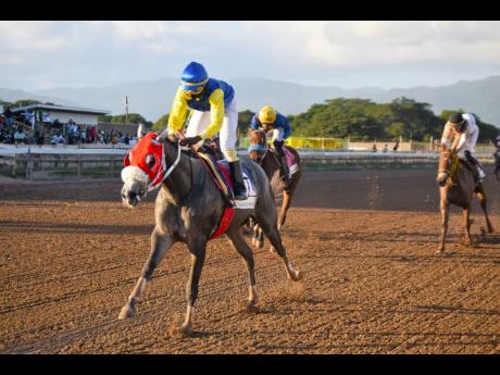 MOJITO, ridden by Dane Dawkins, wins the Supreme Ventures Ltd Jamaica Two-Year-Old Stakes over a mile at Caymanas Park on Tuesday, December 27, 2022. 