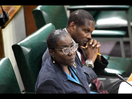 Public Defender Carolyn Reid-Cameron, KC, and her deputy, Herbert McKenzie, appearing before Parliament’s Internal and External Affairs Committee at the Gordon House on Tuesday.