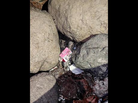 Scraps of garbage lodged between stones along the Palisadoes strip could lead to rodent and roach infestation. 