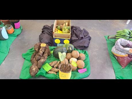 Some of the farm produce that was on display during Wednesday’s Portland 4-H Clubs parish achievement day held at the College of Agriculture, Science and Education (CASE). 