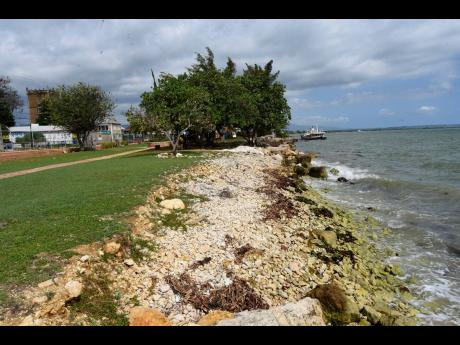 There are calls for a wall to be erected along the coast to prevent children from wandering into the sea or crocodiles from coming ashore into the JAG Myers Municipal Park in Black River, St Elizabeth.