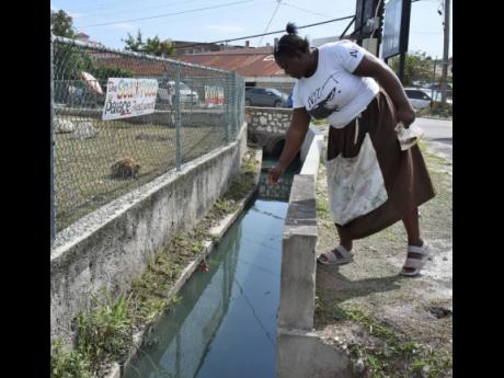 A fish vendor shows points to an area in a canal where crocodiles sometimes hide out near the fish market in Black River, St Elizabeth.