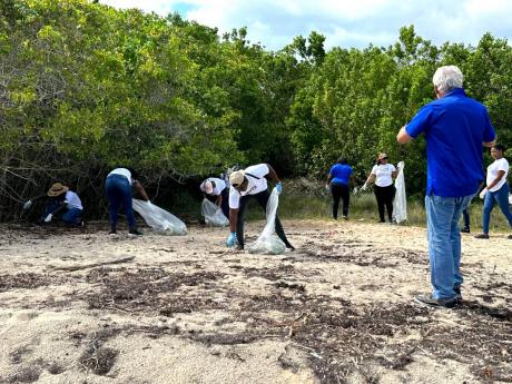 Jamwest and the Amstar staff members along with residents collect trash during a clean-up project held at Salmon Point Beach in Westmoreland.