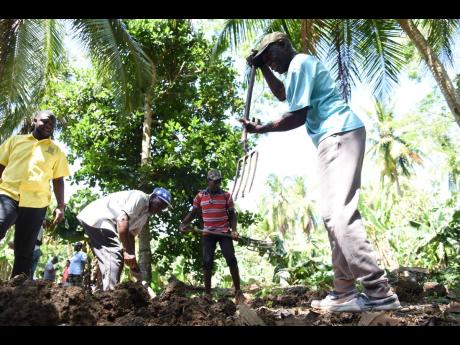 Paul Campbell (left), agriculture extension officer at Rural Agricultural Development Agency, looks on as farmers prepare a plot of land during a training session with representatives from the Caribbean Agricultural Research Development Institute in Lysson