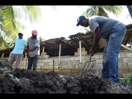 Ian Allen
Members of the Kanga Gully Farmers Group in Nutts River, St Thomas, prepare a nursery for coconut seedlings during a training session held on Tuesday by representatives from the Caribbean Agricultural Research and Development Institute (CARDI).