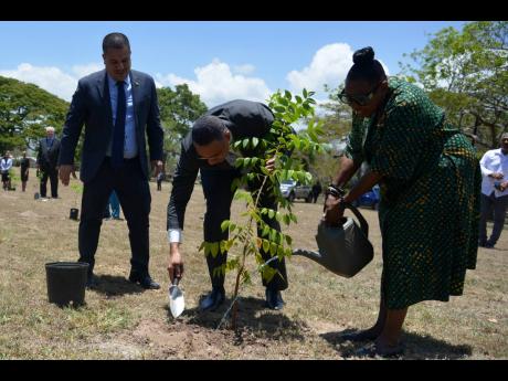 Culture Minister Olivia Grange waters a lignum vitae tree planted by Prime Minister Andrew Holness (centre) on the lawns of Jamaica House during the launch of Labour Day 2023 and Workers’ Week on Tuesday. At left, Senator Matthew Samuda looks on.