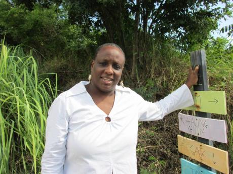 Nicola Shirley-Phillips, immediate past president of the Jamaica Organic Agriculture Movement.