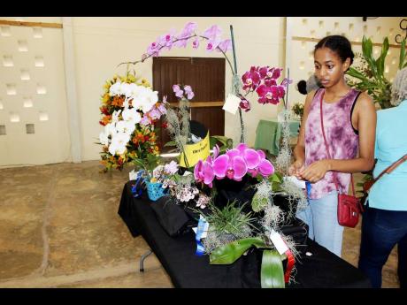 A visitor admires the array of beautiful orchids.