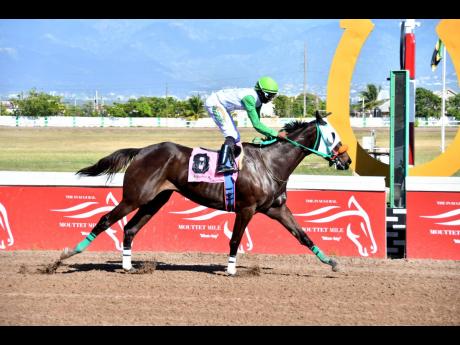 Jockey Omar Walker winning board HECANDANCE at Caymanas Park in January. Walker will ride SENSATIONAL MOVE in Monday’s feature race.