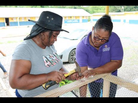 Andrea Cooke (left), principal of the St Margaret Mary Basic and Prep School, and Nordel Wright, sanitation and maintenance worker at Clarendon Distillers Ltd, hard at work on Labour Day.