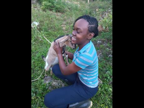 Jamaica 4-H National Girl of The Year, Natoya Williams, smiles as she tends to her goat. 