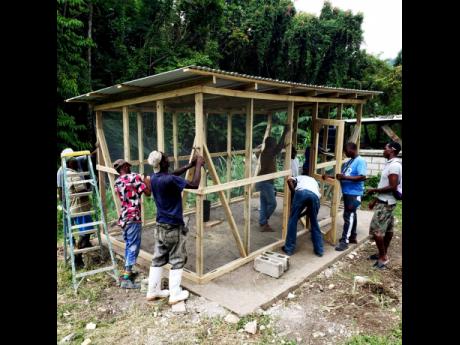 Members of  the Kiwanis Club of Westmoreland Capital, in partnership with Grace Food Processors and the Key Club of Manning’s School, building a chicken coop at the Clifton Boys’ Home in Darliston, Westmoreland. 