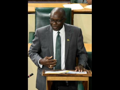 Everald Warmington, minister without portfolio in the Ministry of Economic Growth and Job Creation.