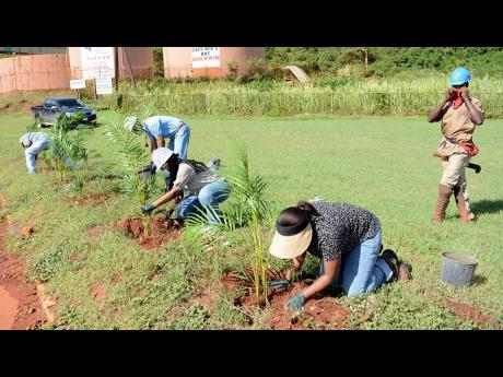 This October 2, 2020 file photo shows Noranda Bauxite employees participating in the National Tree Planting Day activities at the company’s operations in Discovery Bay, St Ann. The Court of Appeal yesterday granted the St Ann-based bauxite company permis