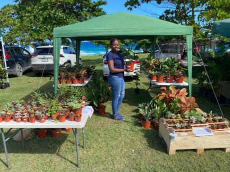Sasheena Henry’s interest in plants bloomed during the COVID-19 pandemic when she decided to start posting some of her potted treasures.