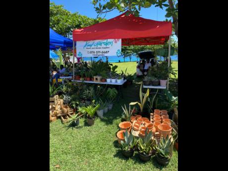 Located in St Mary, Kadi Garden Plant and Garden Supplies provides a wide variety of potted delights. As an online business, Henry gets the word out there through different events, fairs and pop-up shops. 