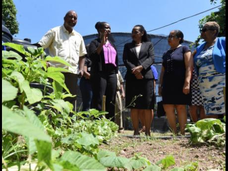 Geneva Cooper (second left), vocational and farming teacher, Best Care Special Education School, discusses the different crops planted on the farm and in the shade house at the school with (from left) Julian Robinson, member of parliament for St Andrew Sou