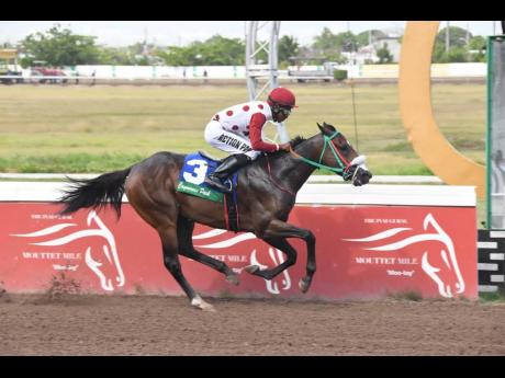 
IS THAT A FACT, ridden by Reyan Lewis, at odds of 4-1,wins the seventh race over five and a half furlongs, a three-year-old and upwards Restricted Allowance Stakes at Caymanas Park yesterday.