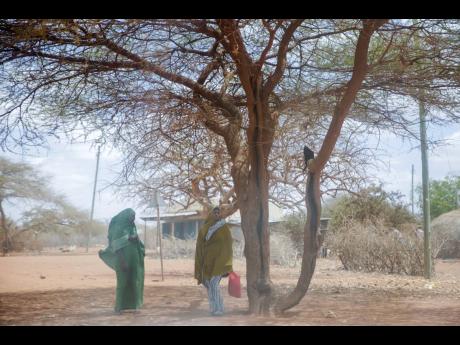 Women shelter under a tree as a dust storm moves across the village of Bulla Hagar in northern Kenya in  August 2022. 