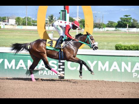 Is That A Fact, ridden by Omar Walker, wins the third race over five furlongs round, a two-year-old maiden special weight stakes at Caymanas Park on Sunday, November 20, 2022.
