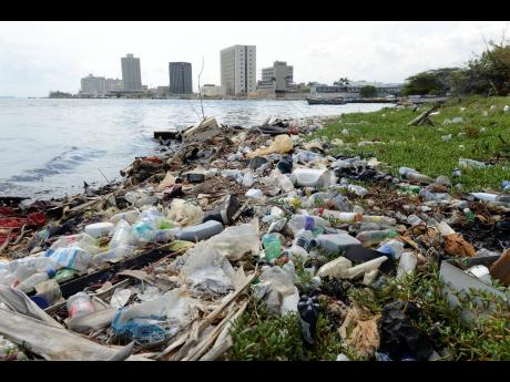 The installation of recycling bins across the island could make a significant difference in reducing plastic pollution, which not only endangers the ecosystem through the emission of the greenhouse gases from its decomposition, but also threatens marine li