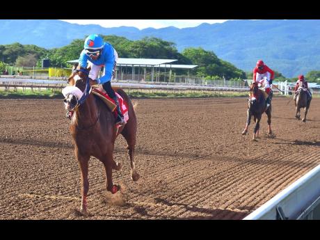 Anthony Minott/
Freelance Photographer 
RUNAWAY ALGO, ridden by Raddesh Ramon, wins the SHE’S A MANEATER Trophy over a mile, a graded stakes/open allowance for three-year-olds and upwards horses, at Caymanas Park yesterday.