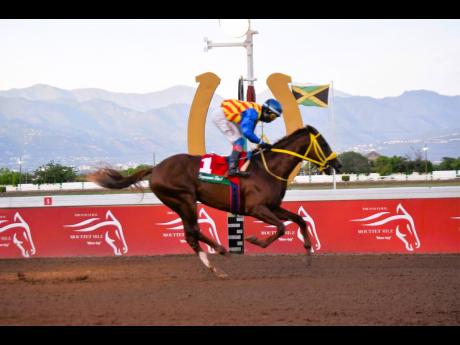 BLUE VINYL, ridden by Javaniel Patterson, wins the Jamaica Veterinary Board World Vet Day Trophy over a mile at Caymanas Park on Saturday, April 29, 2023.