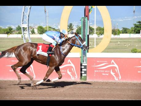 
SHE’S MY DESTINY, ridden by Ramon Nepare, wins the None Such Sprint Trophy over six furlongs, a graded stakes/open allowance for horses, three years old and upwards, at Caymanas Park yesterday.