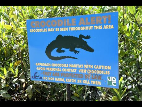 A sign in Salt River, Clarendon, alerting people to the presence of crocodiles in the area.