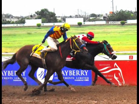 
IS THAT A FACT (right), ridden by Reyan Lewis, wins THE POORLITTLERICHGIRL Trophy, a three-year-old and upwards open allowance stakes over seven furlongs, ahead of BLUE VINYL with Javaniel Patterson aboard, at Caymanas Park yesterday.