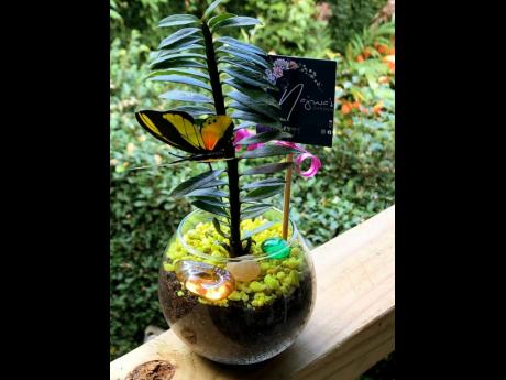 This plant mom and ‘plantrepreneur’ really enjoys creating and designing plant arrangements, “I get to express my creative side a bit and bring joy to others,” Harrison said.