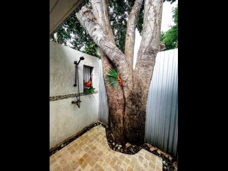 An outdoor shower with a roof of tree branches.