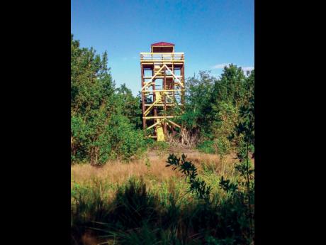 In the middle of swampland, with lagoons and mangroves, is this key with an enormous observation tower.