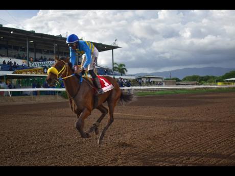 RHYTHM BUZZ, ridden by Raddesh Roman, wins the Royal Dad  Trophy over 1820 metres at Caymanas Park yesterday.