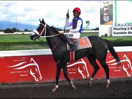 Jockey Raddesh Roman celebrates aboard RANI BANGALA after the four-year-old filly scored an upset win in the  Errol ‘Big Sub” Subratie Memorial Trophy feature at Caymanas Park yesterday. 