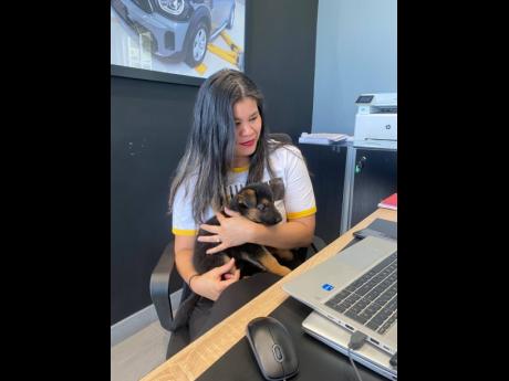 Christina Taylor, group marketing manager, ATL Automotive Group, holds a German Shepherd puppy at True Pet’s puppy therapy session while attending an online meeting.