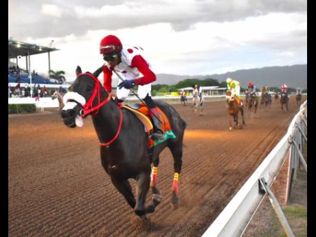 Anthony Minott/Freelance Photographer 
Madelyn’s Sunshine, ridden by leading jockey Reyan Lewis, wins The Kaz Hoshay Trophy over six furlongs, for horses three years old and upwards overnight allowance stakes at Caymanas Park on Saturday, November 4, 202