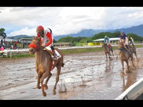 Anthony Minott/Freelance Photographer 
MONEY MISER, with Reyan Lewis aboard, wins the United Racehorse Trainers Association of Jamaica Trophy over nine furlongs and 25 yards, a three-year-old and upwards non-restricted maiden condition race, at Caymanas Pa