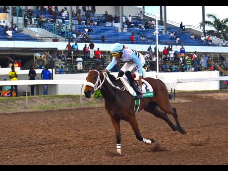 
LEGIT BOSS, ridden by Raddesh Roman, wins the WAR ZONE Sprint Trophy at 7-1 odds over five-and-a-half furlongs at Caymanas Park yesterday.