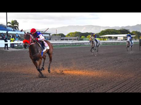 EMPEROROFTHECATS, ridden by Shavon Townsend, wins the Ahwhofah Trophy over six furlongs at Caymanas Park yesterday. 