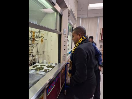 Minister Floyd Green observing operations at the Food, Environment and Product Safety Lab in Connecticut which he toured on Monday.
