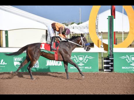 PERFECT BREW, ridden by Tevin Foster, wins the feature seventh race of a nine-race card at Caymanas Park yesterday.
