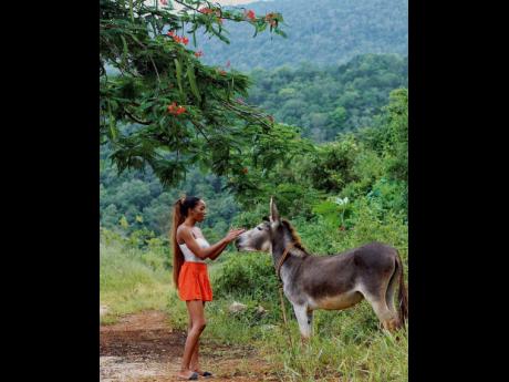 Surrounded by greenery, content creator Annesha Adams is seen having a heart-to-heart talk with a donkey.