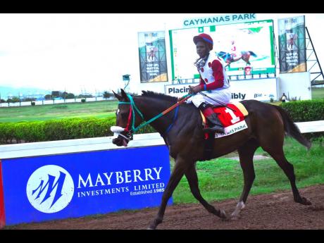 IS THAT A FACT and jockey Reyan Lewis stroll to the winners’ enclosure after capturing the Poorlittlerichgirl Trophy for three-year-old and upwards open allowance stakes over seven furlongs at Caymanas Park on September 16, 2023.